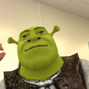 Meet your Posher, Emily’s